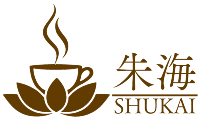 朱海｜SHUKAI