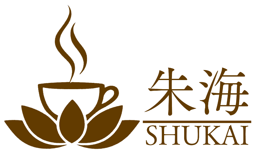朱海｜SHUKAI